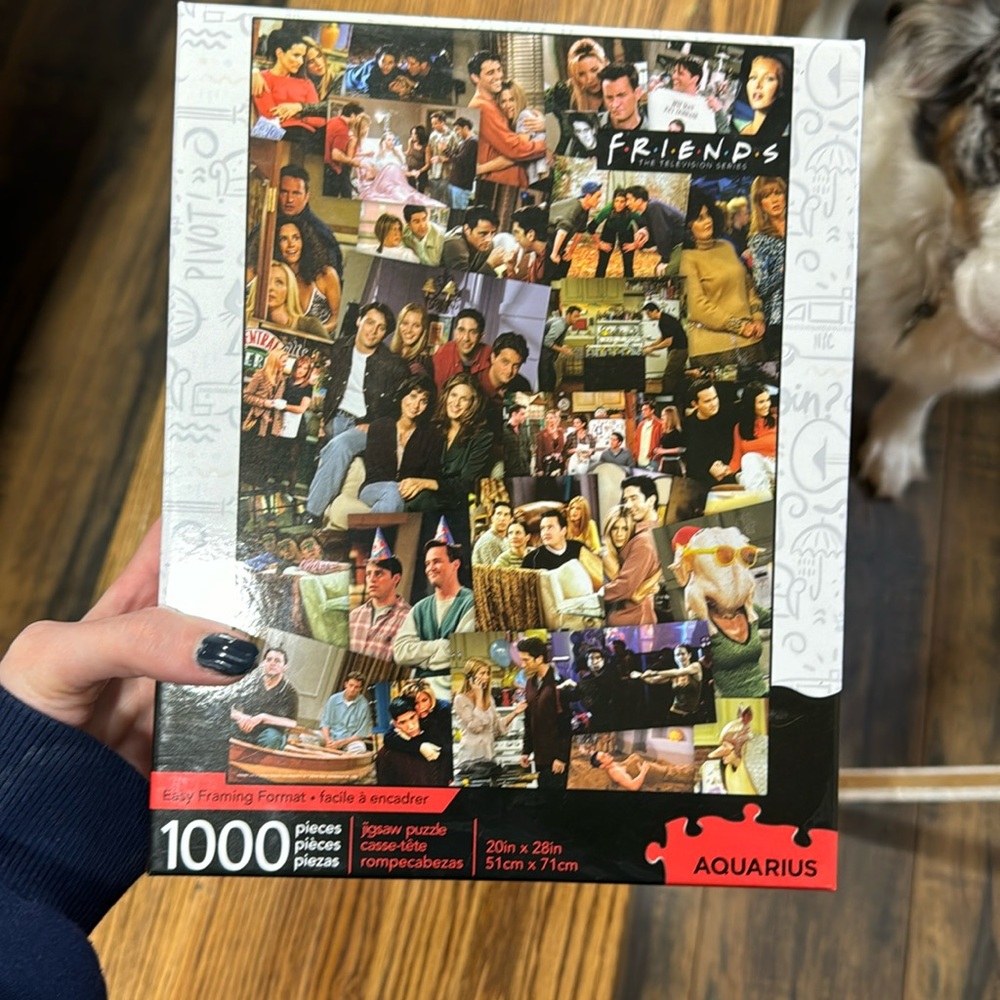 Friends puzzle